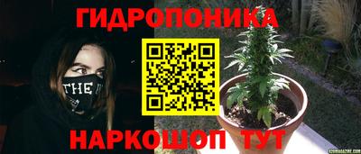 ALPHA-PVP Тулун