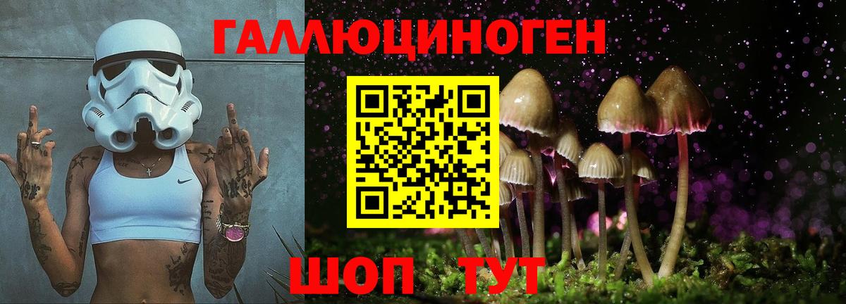 Псилоцибиновые грибы прущие грибы Нововоронеж