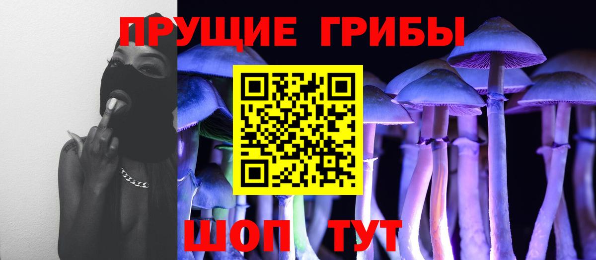 Галлюциногенные грибы GOLDEN TEACHER  Вход с VPN  Нововоронеж 